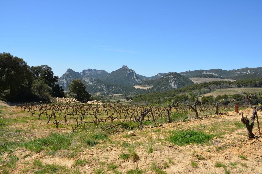 La Roque-Alric Mas De Carabelle B&B 외부 사진